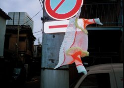 feilchenfeldt-hepp-collection