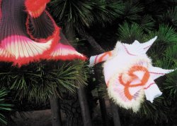 feilchenfeldt-hepp-collection