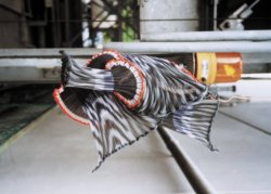 feilchenfeldt-hepp-collection