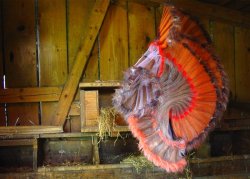 feilchenfeldt-hepp_works0910-federkleid2