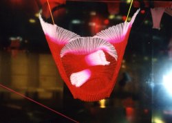 Feilchenfeldt-Hepp_exhibitionstaatspreis-5