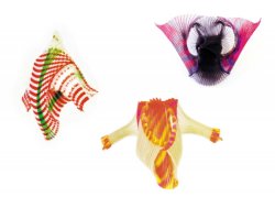 Feilchenfeldt-Hepp_works99_01-3jackets